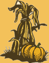 Pumpkin graphic