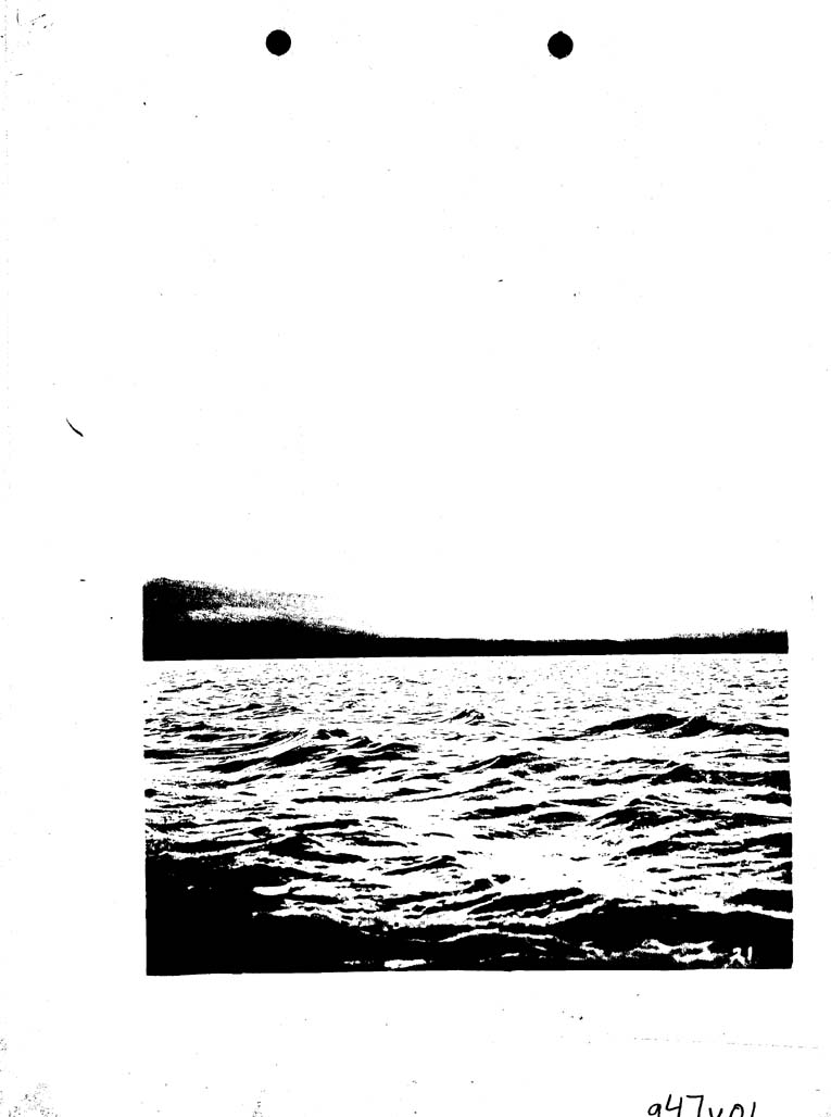 [a47v01.jpg] - Photograph-Western Shore of 