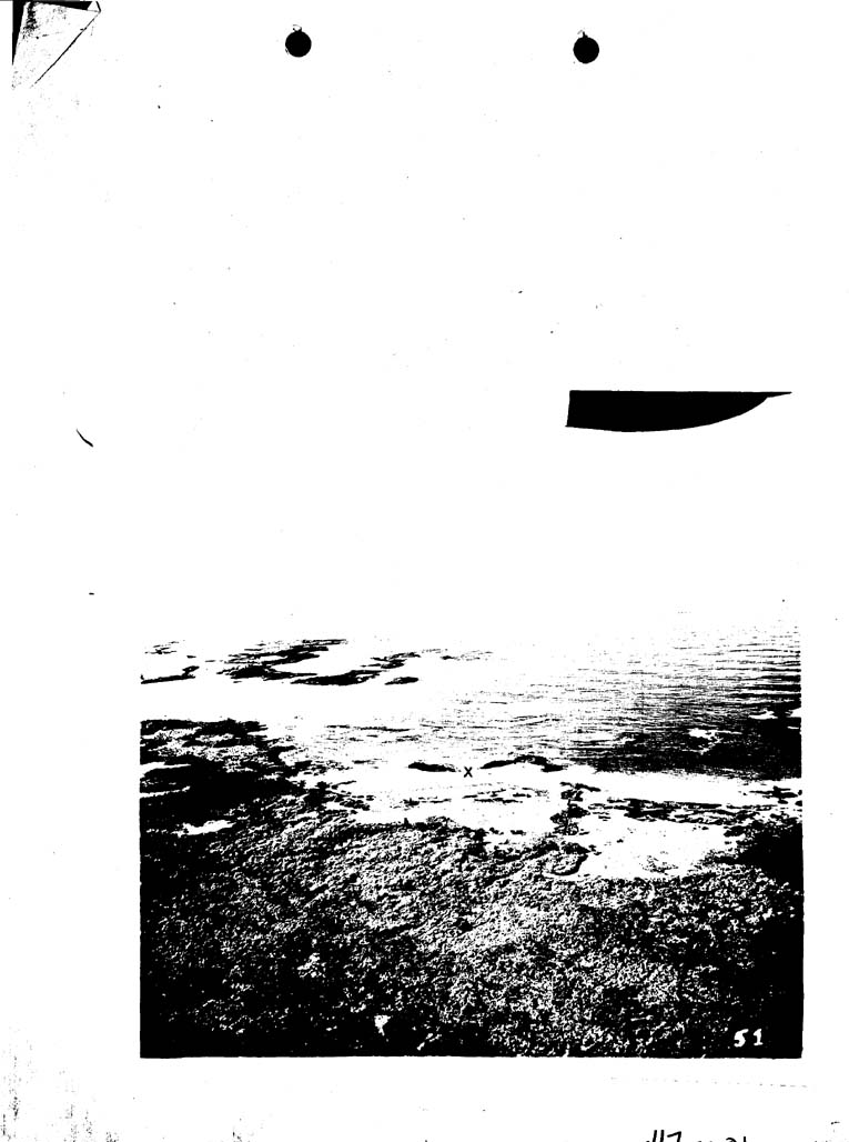 [a47cc01.jpg] - Photograph-Boat Landing at Villamil, Albemarle Island