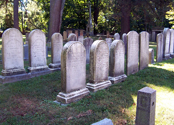 Braman family plot now